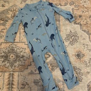 3-6 Stream Shark zippered romper